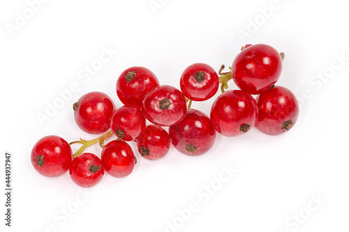 Raceme of the redcurrant on a white background, close-up