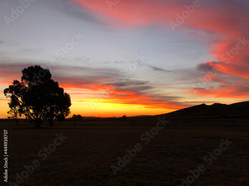 sunset in the desert