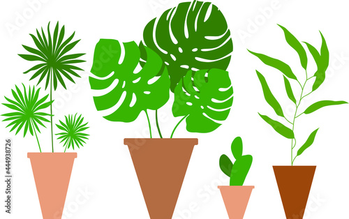 Vector  flat design set: green home plants in brown ceramic pots. Natural colors elements for design cards, poster about interior decor or floriculture.