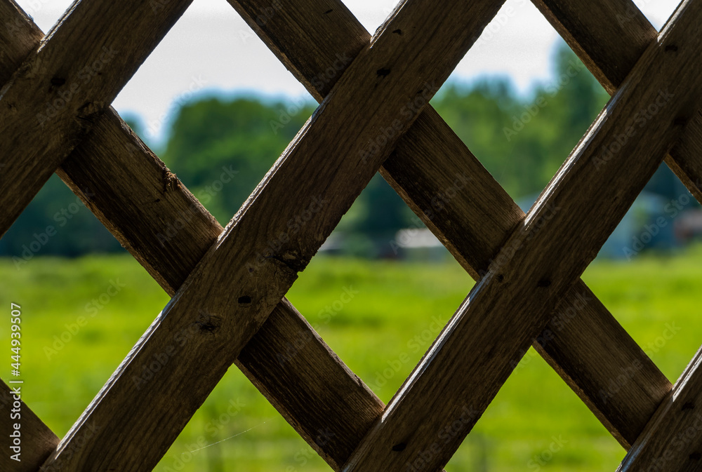 DIamond Fence Abstract DIamond Fence Abstract