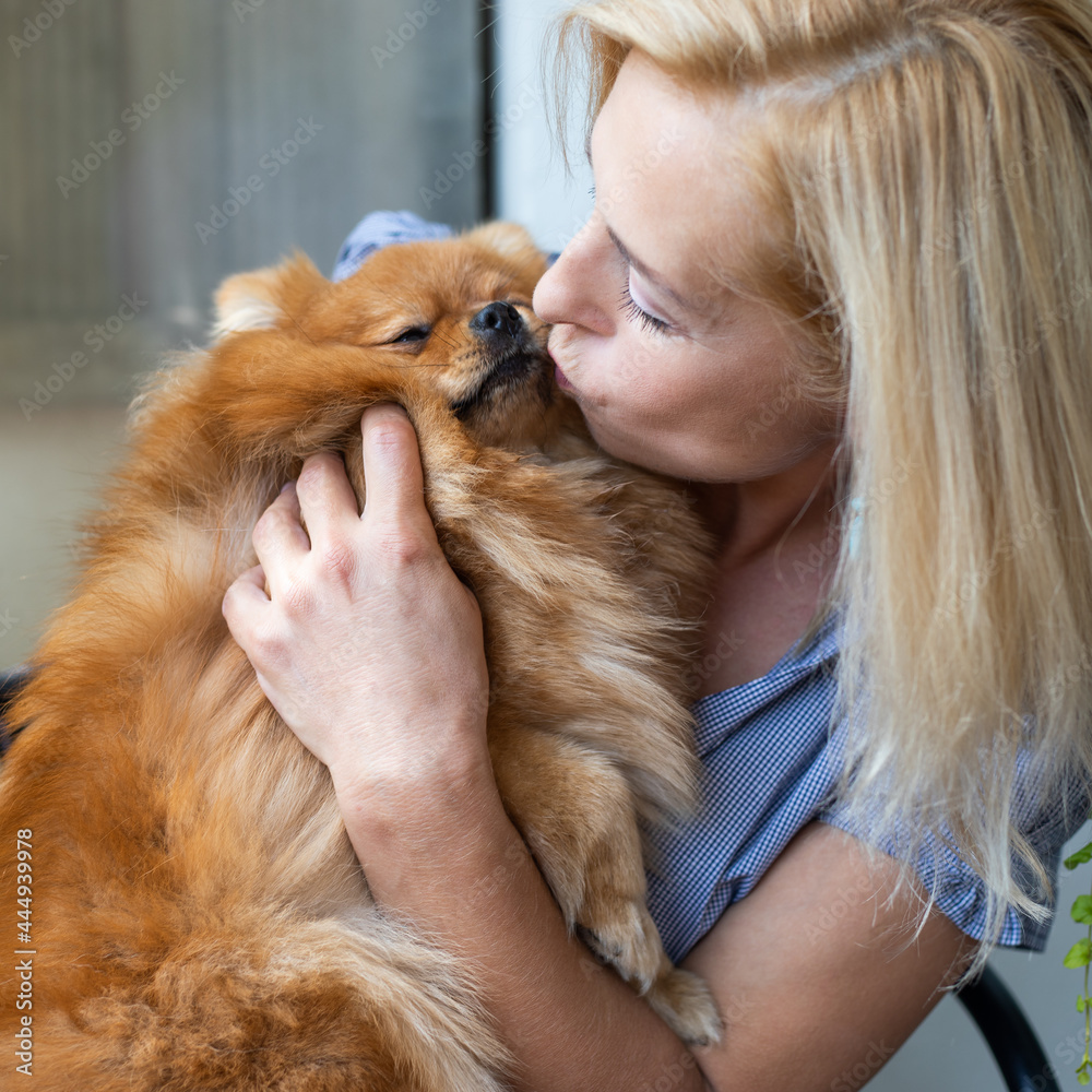Woman and her dog pomeranian spend time together .she siting on chair and holding dog in her arms. Woman and her dog pomeranian spend time together .she siting on chair and holding dog in her arms.