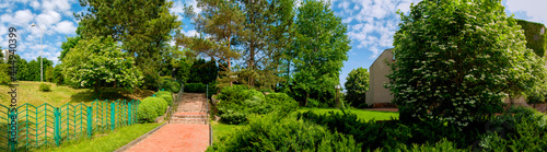 Panorama of the summer park in the city. Blooming viburnum tree, green fir.