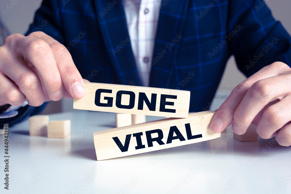 Obraz premium GONE VIRAL motivation text on wooden blocks business concept white background.
