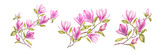 Watercolor elements of blooming magnolia. Set garden flowers. Collection botanic illustration leaves, flower and branches.