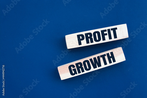 Wooden cubes with lettering spelling Profit Growth. Business or Political concept