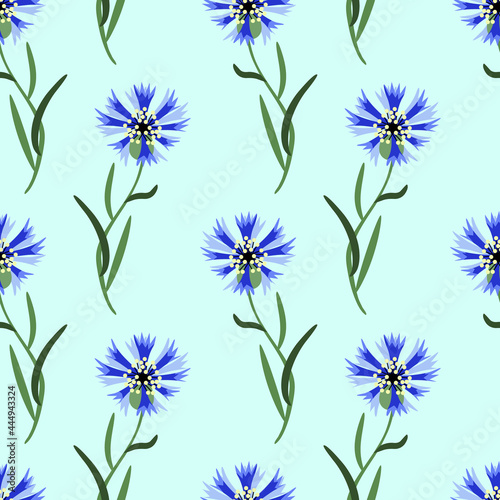 Cornflowers seamless pattern  watercolor illustration.
