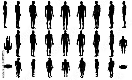 Set with silhouettes of a body of a man in different positions isolated on a white background. Vector illustration