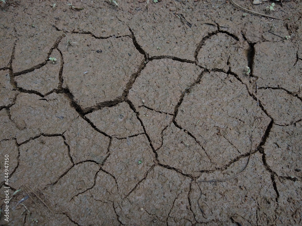 Fototapeta premium cracked mud rough texture, close-up view