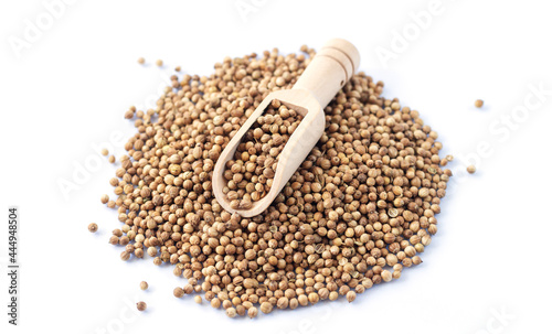 Wooden scoop with dried whole coriander seeds