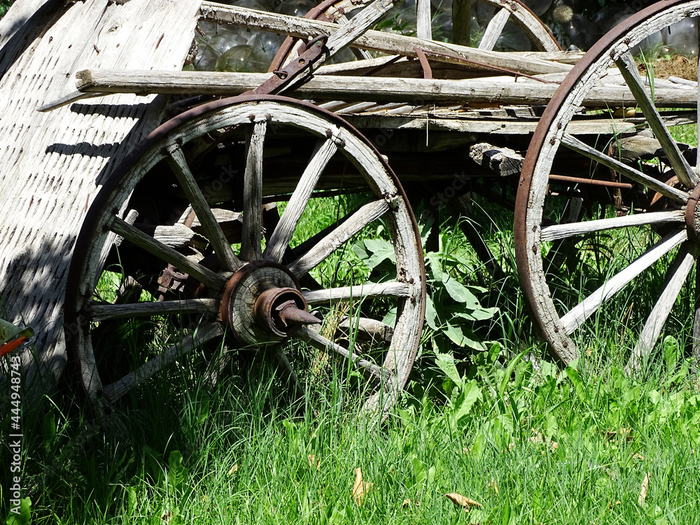 old horse carriage, classic horse carriage used in turkey, old horse carriage, classic horse carriage used in turkey,