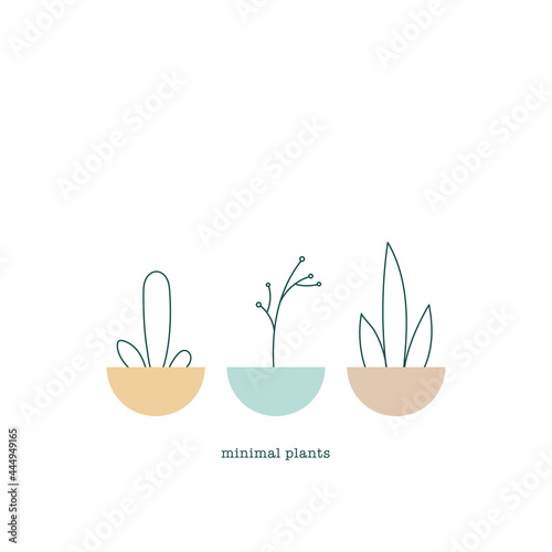 Minimal plants. Plant pots with quote. Vector illustration  flat design