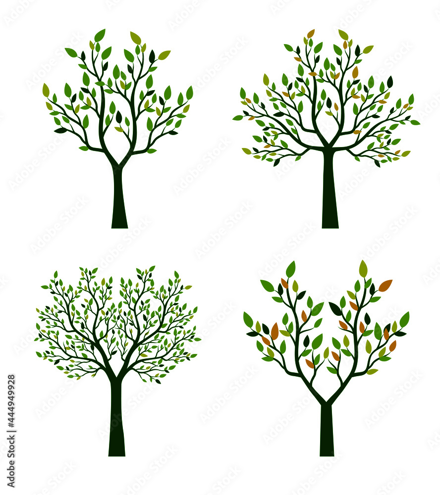 Obraz premium Set Trees. Vector outline Illustration. Plant in Garden.