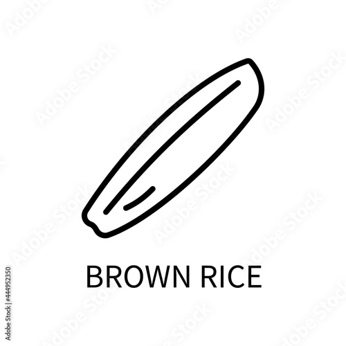 Icon Of The Brown Rice Line In A Simple Style. Vector sign in a simple style isolated on a white background. Original size 64x64 pixels.