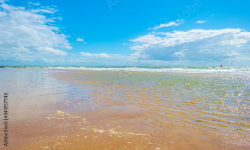 Fototapeta Naklejka Na Ścianę i Meble -  Sunlit waves on the yellow sand of a sunny beach along the North Sea illuminated by the light of a colorful sun and a blue cloudy sky in summer, Walcheren, Zeeland, the Netherlands, July, 2021

