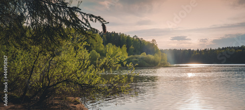 Beautiful summer landscape. Sunset overlooking the lake and forest. Panorama banner format