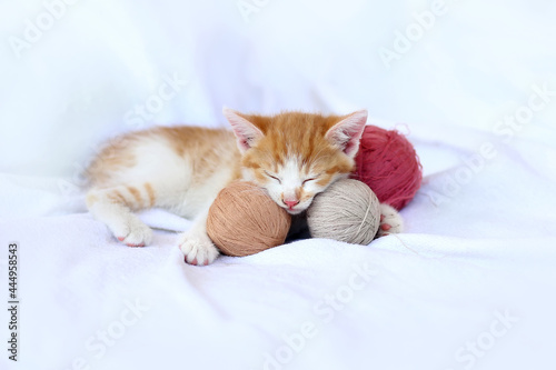 Cute tabby ginger kitten sleeping with dusty rose,pink and beije balls skeins of thread on white bed