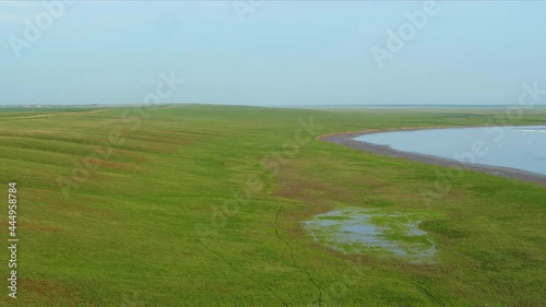 Manych lake and field of blooming tulips from above