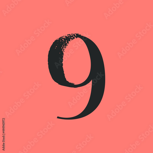 Number nine with dry brush stroke and serif.