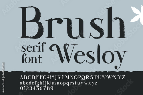 Alphabet with dry brush stroke and serif.