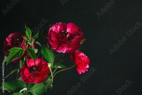 Beautiful summer flowers on a dark background.