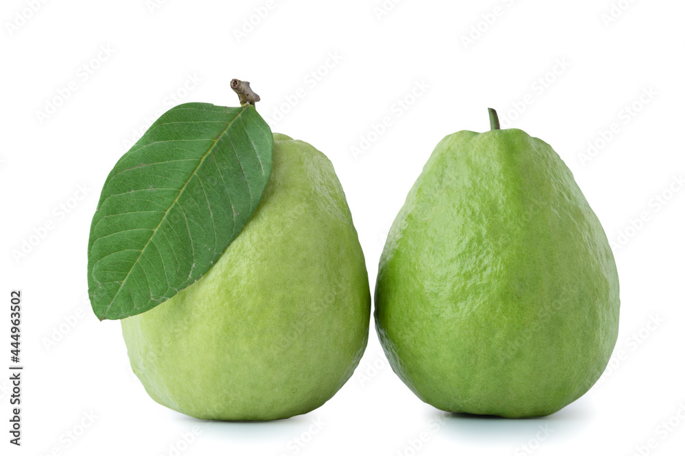 Beautiful guava fruit isolated on white background. Beautiful guava fruit isolated on white background.