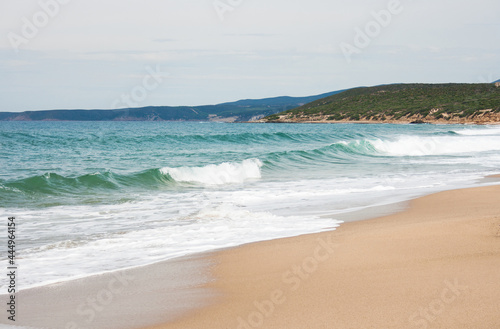 Empty sandy beach and sea with waves