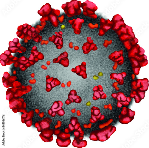 Red pathogenic virus bacillus disease