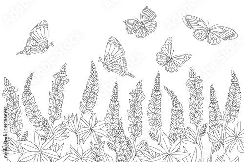 field of graceful flowers and flying butterflies for your colori