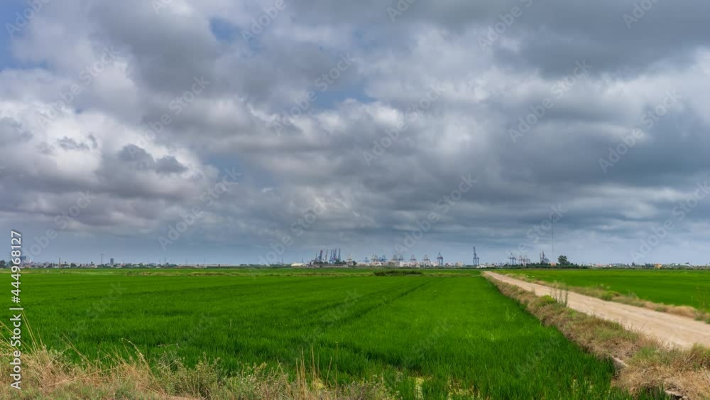 Green rice fields, skyline and commercial dock timelapse Green rice fields, skyline and commercial dock timelapse