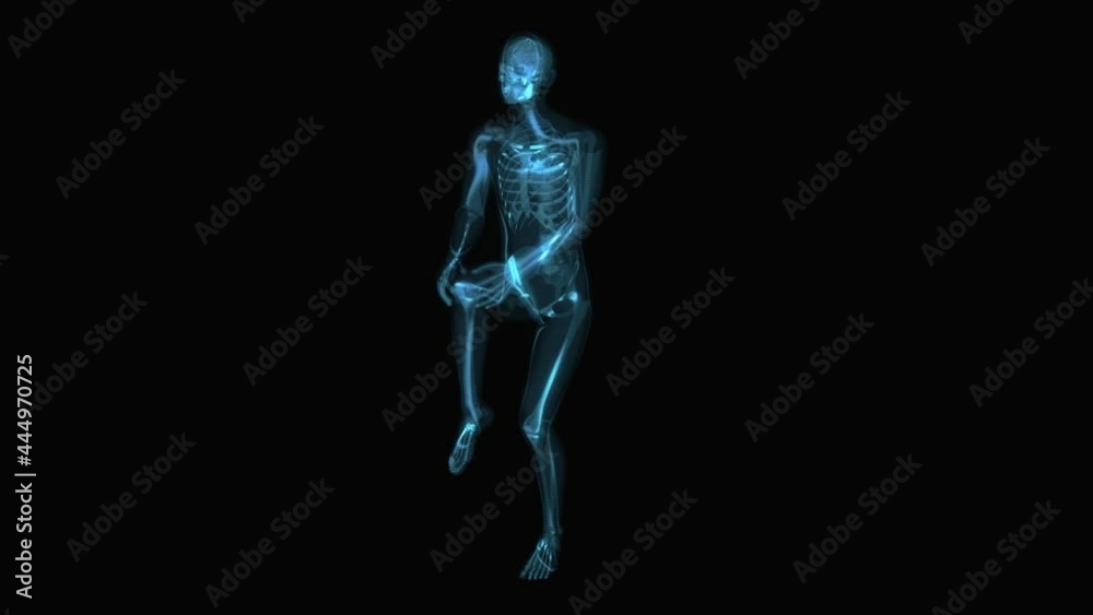 4K anatomy concept of a knee pain 4K anatomy concept of a knee pain