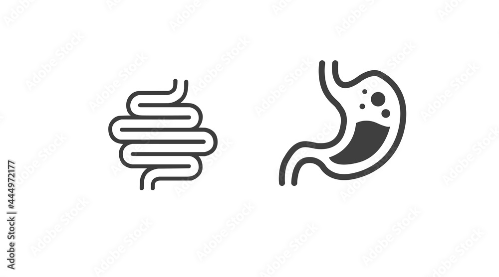 Fototapeta premium Stomach and digestive system icon. Vector isolated editable illustration of the stomach and digestive system