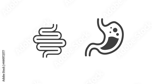 Stomach and digestive system icon. Vector isolated editable illustration of the stomach and digestive system 