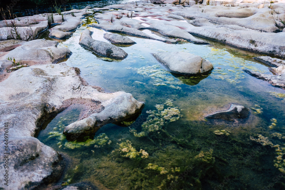 Fototapeta premium Algae grow on the bedrock of a dry river producing eutrophication