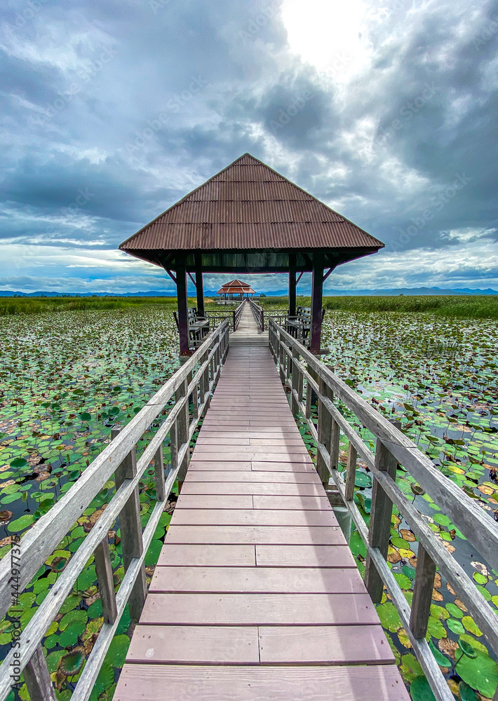 Sam Roi Yot Freshwater Marsh, Walk over the marsh, Bueng Bua Wood Boardwalk in Sam Roi Yot national park in Prachuap Khiri Khan, Thailand Sam Roi Yot Freshwater Marsh, Walk over the marsh, Bueng Bua Wood Boardwalk in Sam Roi Yot national park in Prachuap Khiri Khan, Thailand