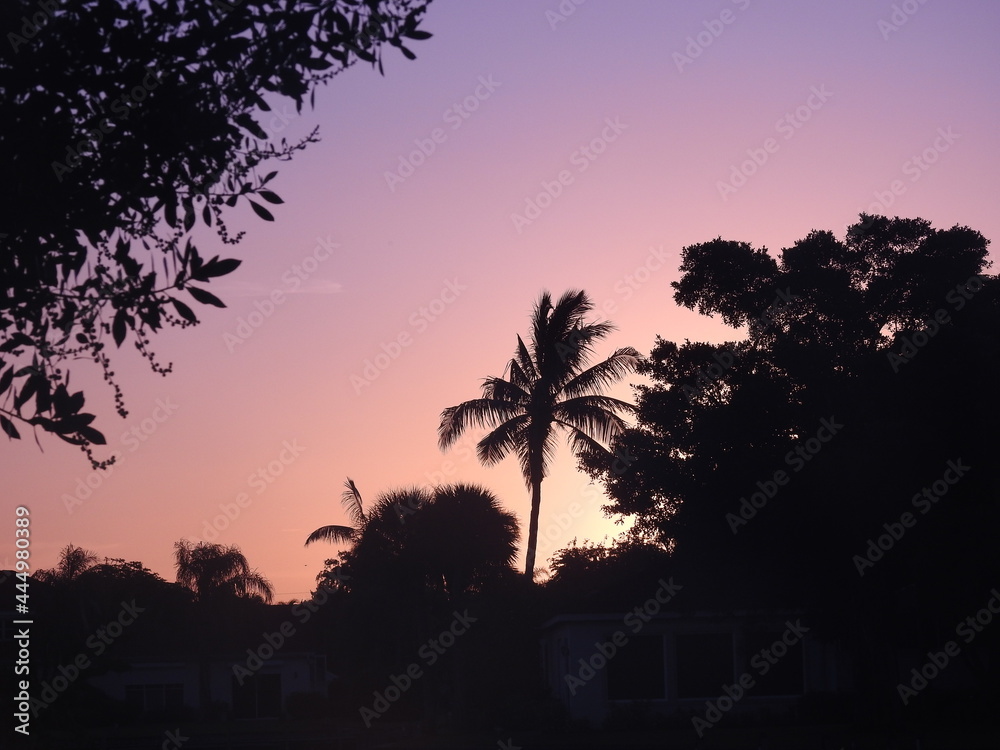 Obraz premium Beautiful sunsets