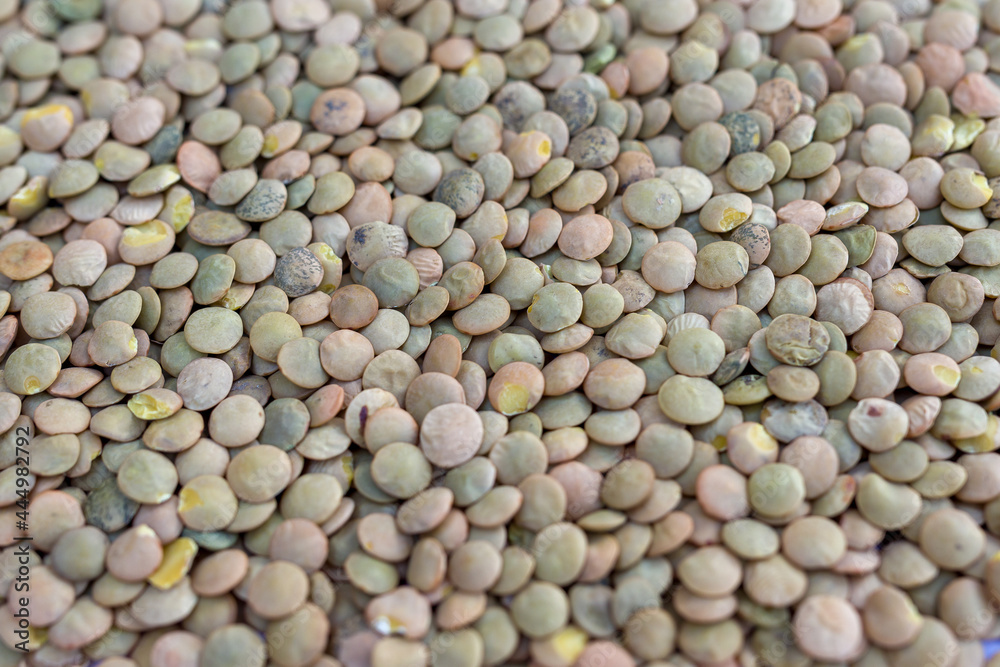 dried green lentils, grain close-up dried green lentils, grain close-up