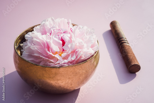 Fototapeta Naklejka Na Ścianę i Meble -  Tibetan singing bowl with floating in water pink peony inside and special stick on the pink background. Meditation and Relax. Exotic massage. Minimalism. Direct sunlight and shadows. Selective focus