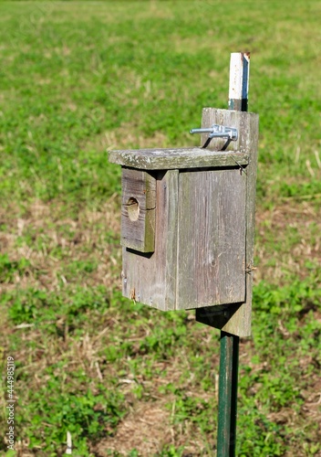 A old wood box birdhouse in the park.