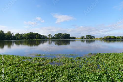 Loire river bank near the Chateauneuf-sur-Loire village