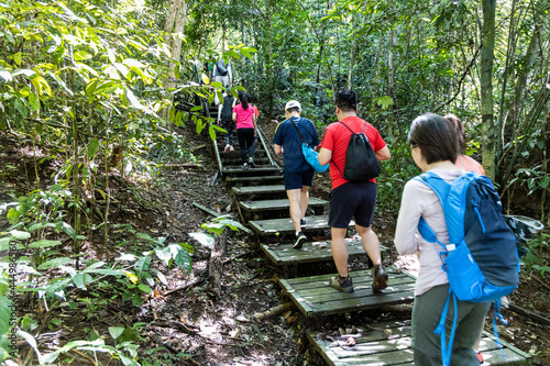 Tourists walking on wooden broadwalk trail at natural and scenic Taman Negara National Park, Pahang photo