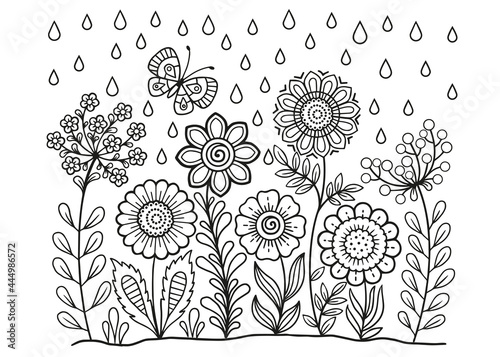 Vector coloring book for adults. Summer wild meadow flowers. Vector isolated elements photo
