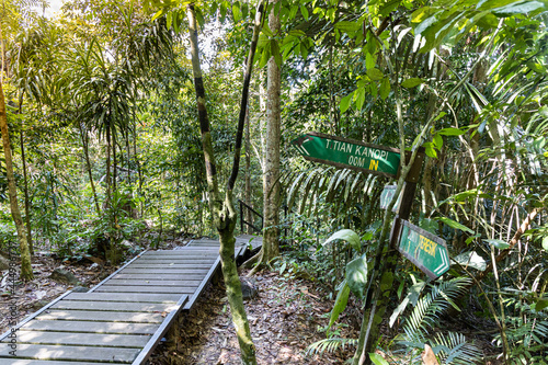 Wooden boadwalk and directional post to Canopy Walk and Teresek Hill at Taman Negara National Park, Pahang photo