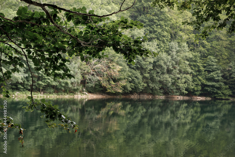 mountain green lake. trees by the water. relaxation and temperation mountain green lake. trees by the water. relaxation and temperation