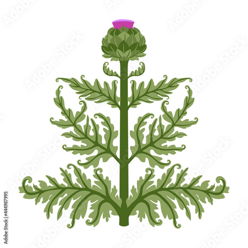 artichoke flower with green leaves, floral decorative element for patterns, ornaments, color vector illustration isolated on a white background in a cartoon and flat design