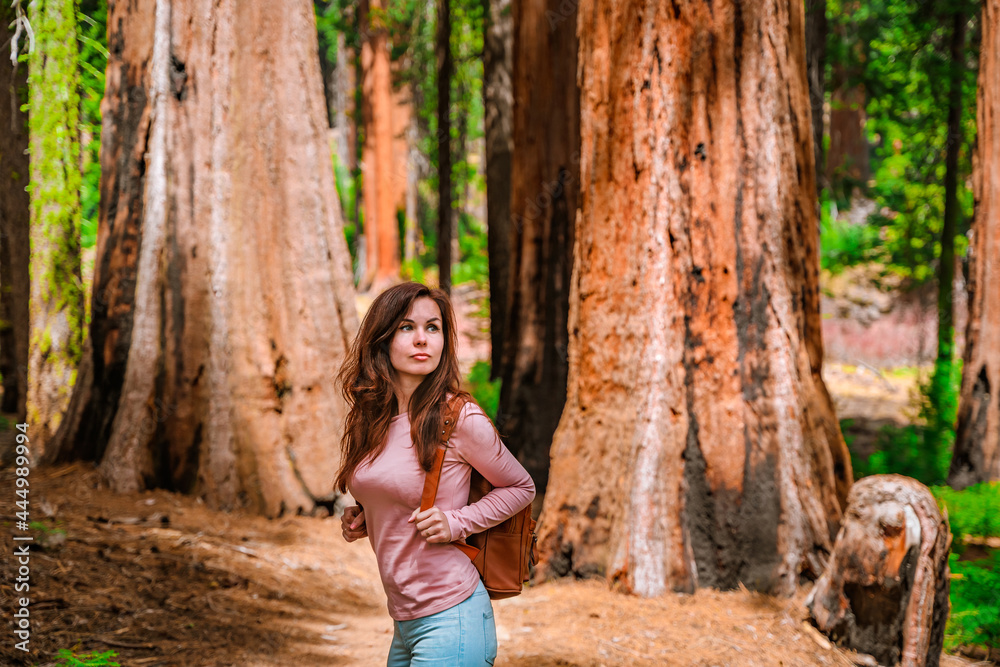 A charming young woman with a backpack walks among giant trees in the forest in Sequoia National Park, USA A charming young woman with a backpack walks among giant trees in the forest in Sequoia National Park, USA