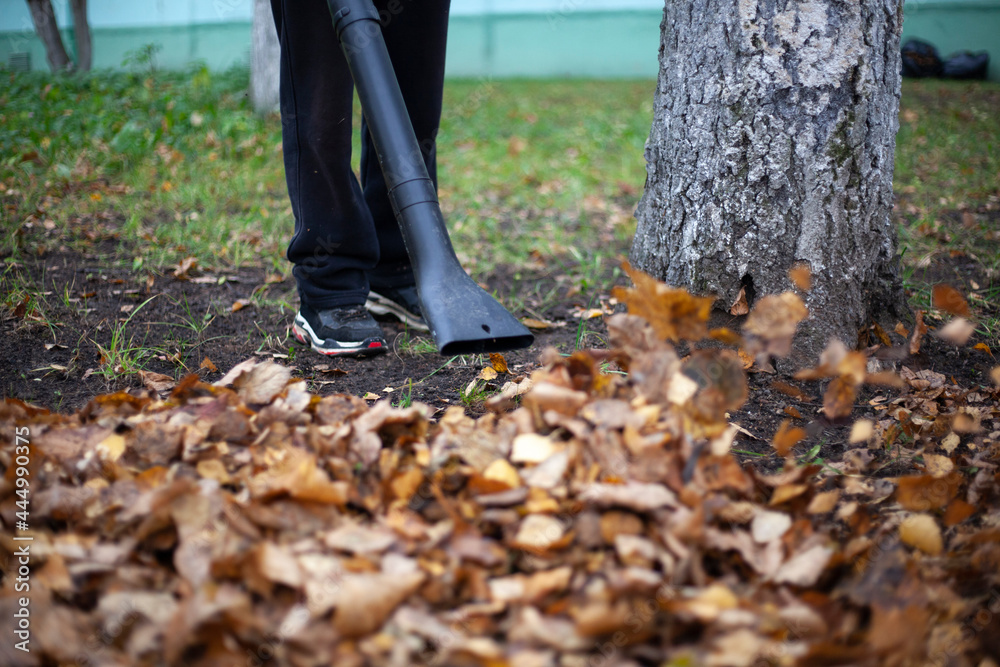 Leaf cleaning. Dry leaves in the garden.