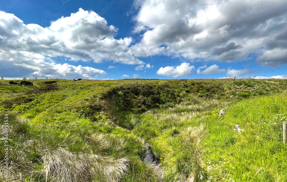 Wild moorland, with a stream and wild grasses near, Kebs Road, Todmorden, UK