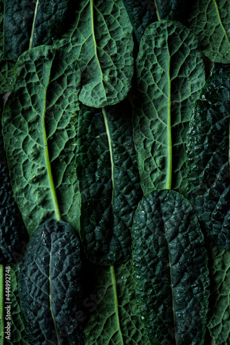 Lacinato Kale superfood leaves pattern photo