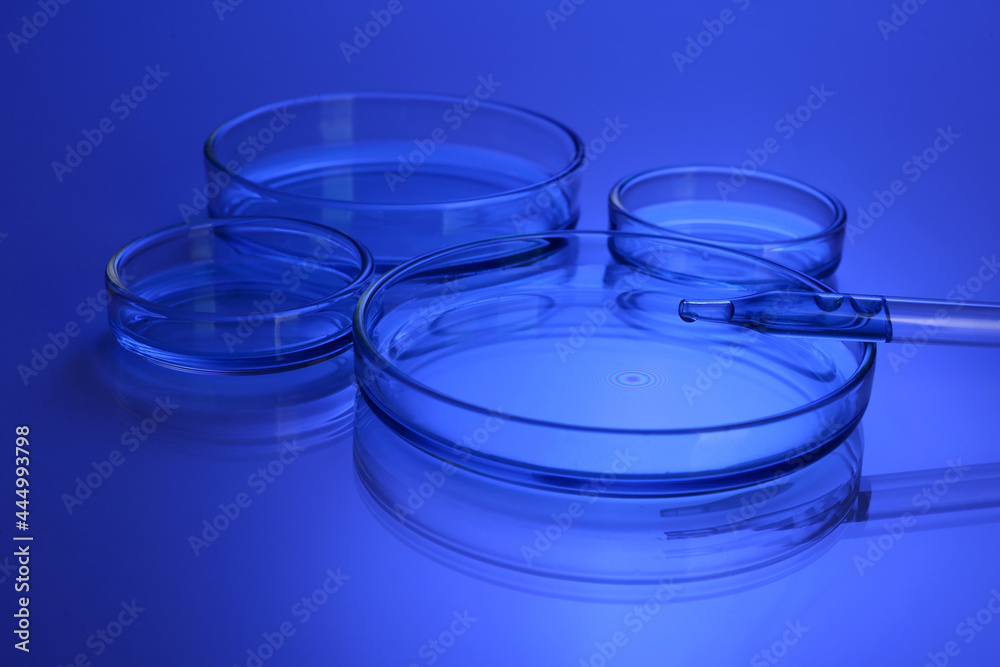 Dripping liquid into Petri dish on table, toned in blue Dripping liquid into Petri dish on table, toned in blue