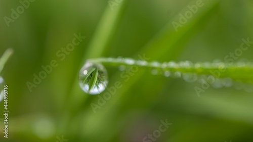 goutte d'eau